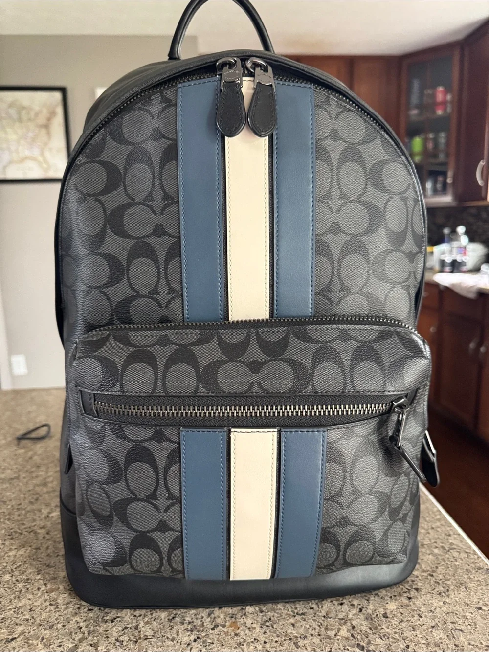 😎Coach Men's Signature Canvas Backpack in Gray !! EUC good condition 😎